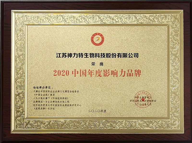 6、2020中國(guó)年度影響力品牌.jpg